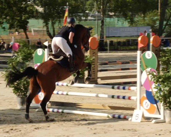 Reitturnier Mannheim-Friedrichsfeld 2024