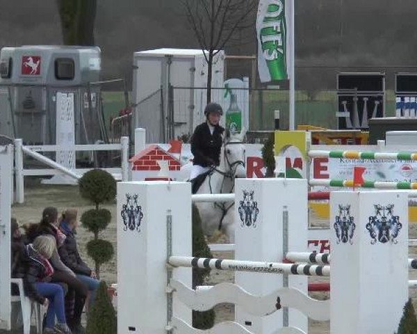Reitturnier Werne-Lenklar 2013