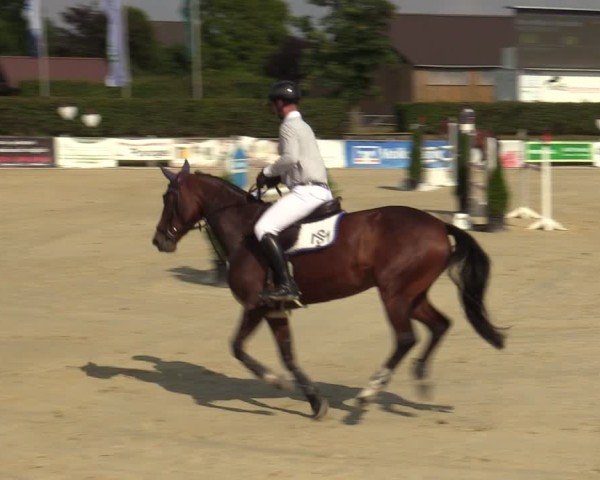 Reitturnier Ennigerloh-Neubeckum 2024