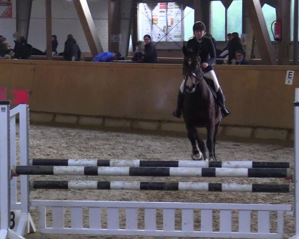 Reitturnier Steinheim 2021