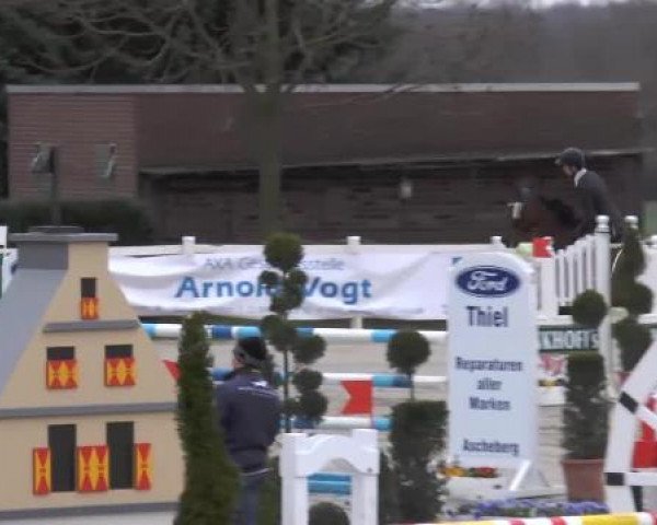 Reitturnier Werne-Lenklar 2013