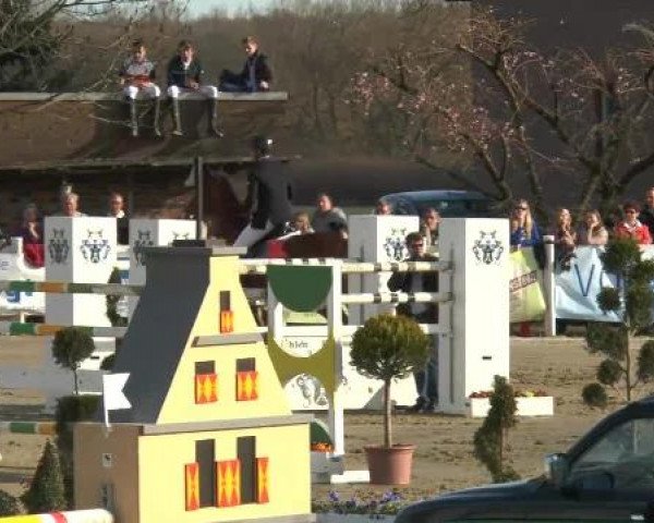 Lenklarer Reitertage auf der Reitsportanlage Gripshöver 2013