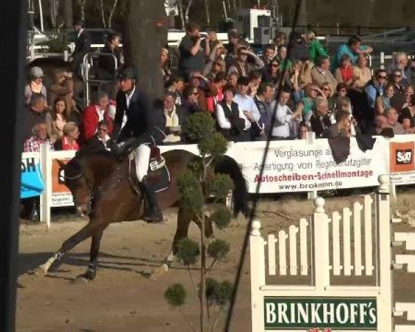 Reitturnier Werne-Lenklar 2013
