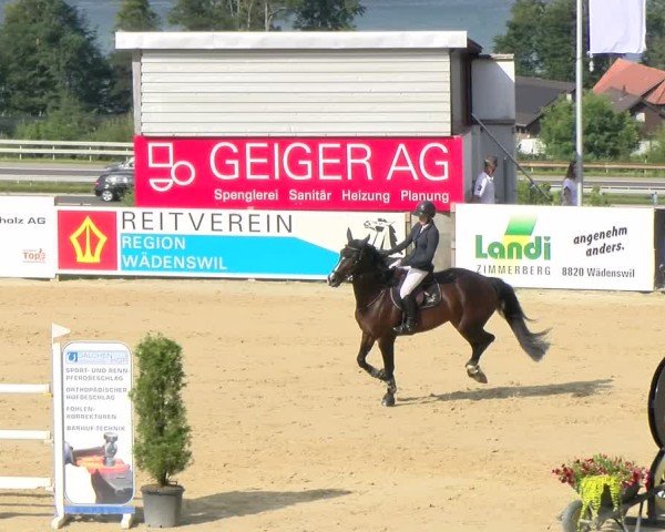 Reitturnier Wädenswil 2024