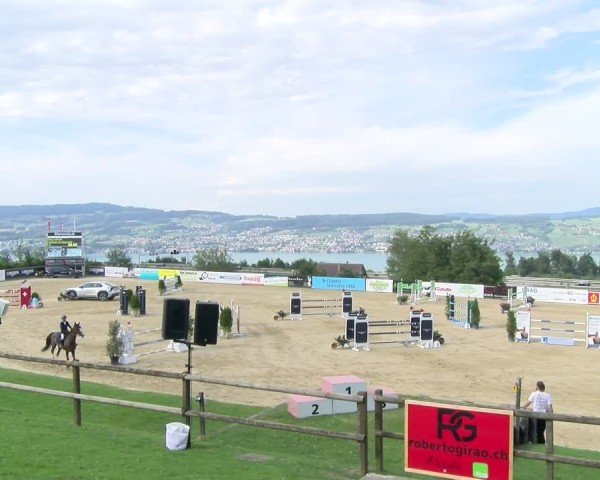 Reitturnier Wädenswil 2024