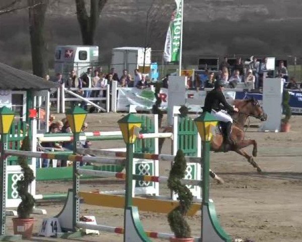 Lenklarer Reitertage auf der Reitsportanlage Gripshöver 2013