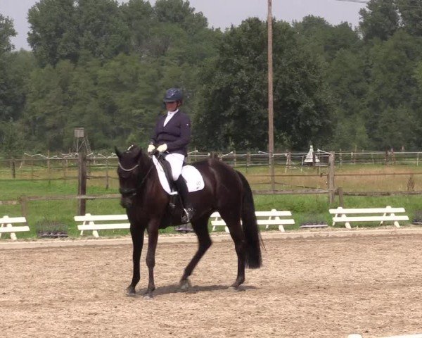 Reitturnier Nettetal-Lobberich 2024