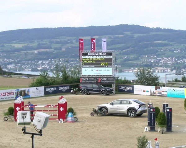 Reitturnier Wädenswil 2024