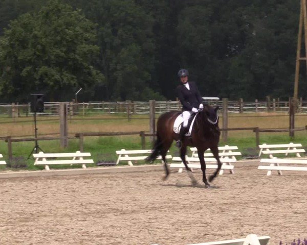 Reitturnier Nettetal-Lobberich 2024