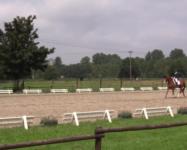 Reitturnier Nettetal-Lobberich 2024