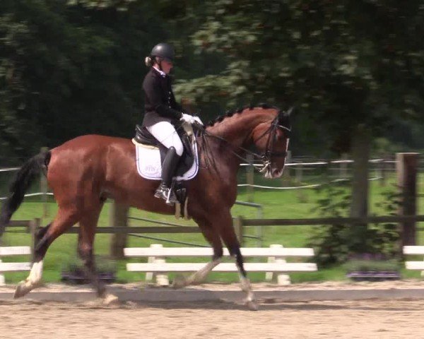 Reitturnier Nettetal-Lobberich 2024