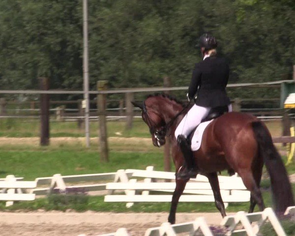 Reitturnier Nettetal-Lobberich 2024