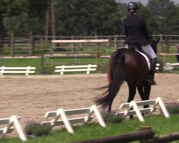 Reitturnier Nettetal-Lobberich 2024