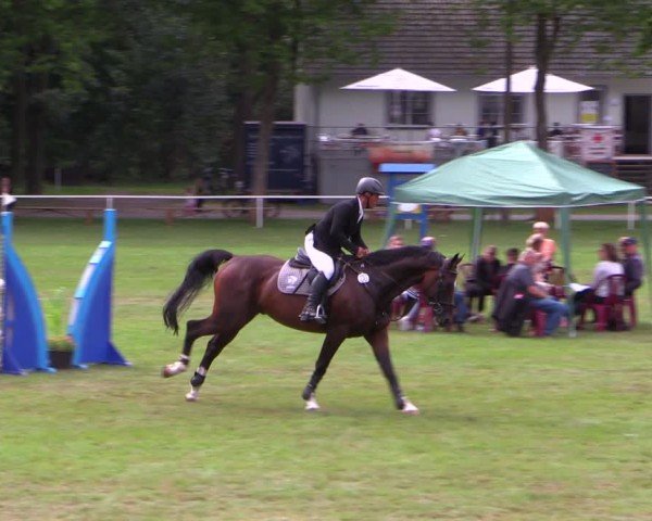 Reitturnier Zobbenitz 2024