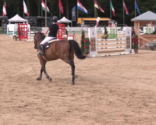 Reitturnier Ranshofen - Braunau am Inn 2024