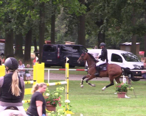 Reitturnier Zobbenitz 2024