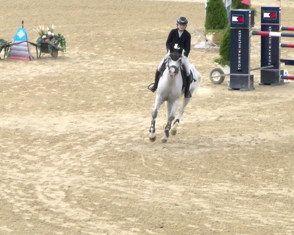 Reitturnier Wädenswil 2024