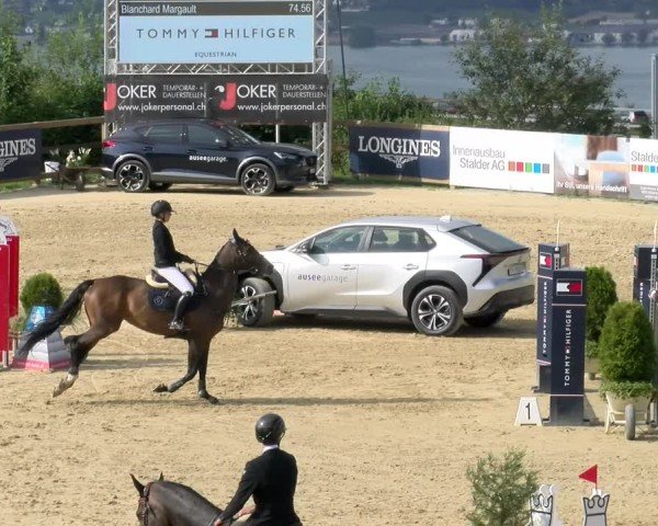 Reitturnier Wädenswil 2024