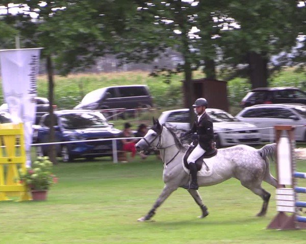 Reitturnier Zobbenitz 2024