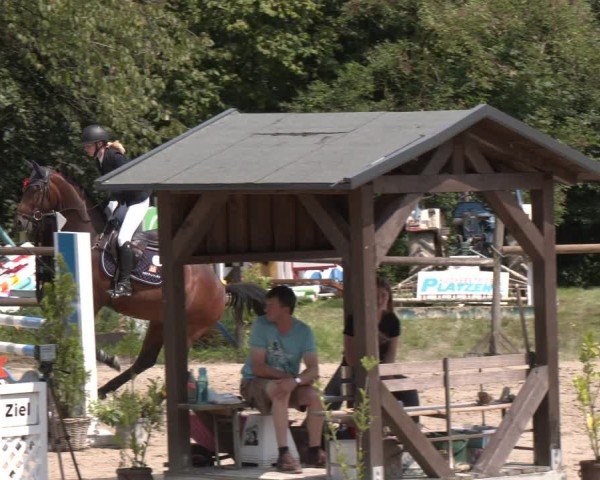 Reitturnier Marienheide-Kempershöhe 2024