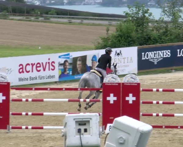 Reitturnier Wädenswil 2024