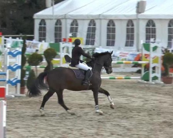 Reitturnier Werne-Lenklar 2013