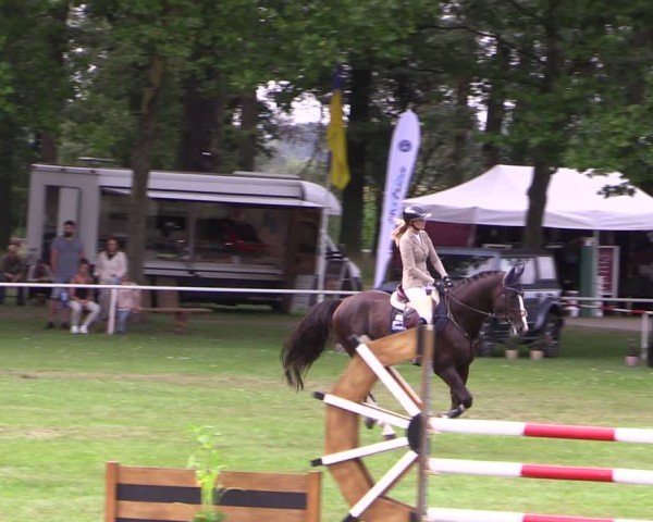 Reitturnier Zobbenitz 2024