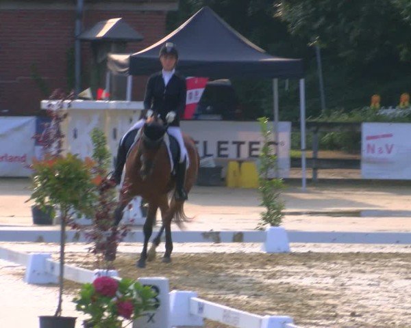 Reitturnier Stadtlohn 2024