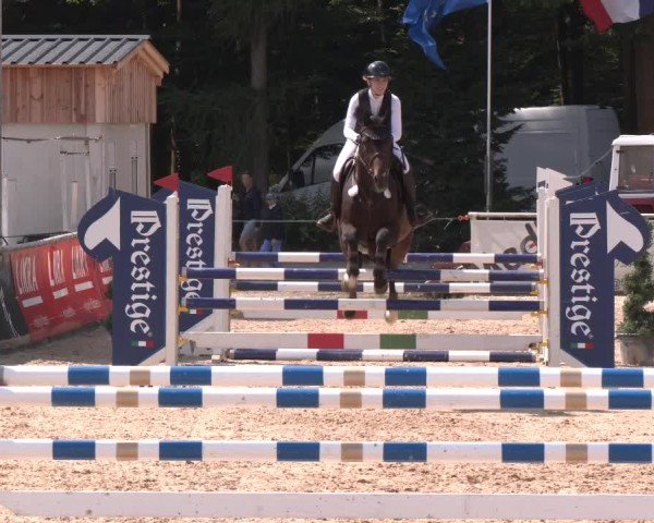 Reitturnier Ranshofen - Braunau am Inn 2024