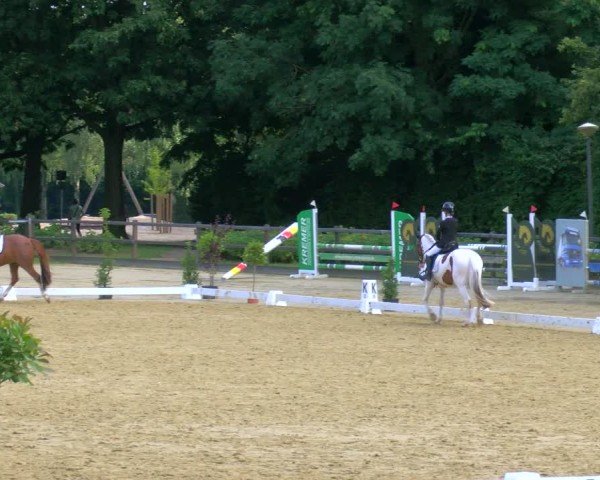 Reitturnier Stadtlohn 2024