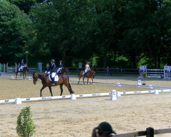 Reitturnier Stadtlohn 2024