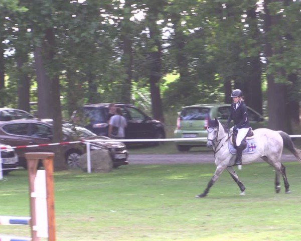 Reitturnier Zobbenitz 2024