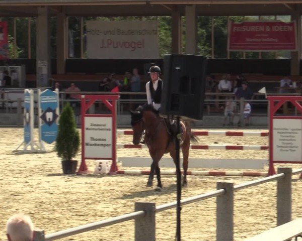Reitturnier Ennigerloh-Neubeckum 2024