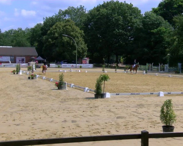 Reitturnier Stadtlohn 2024