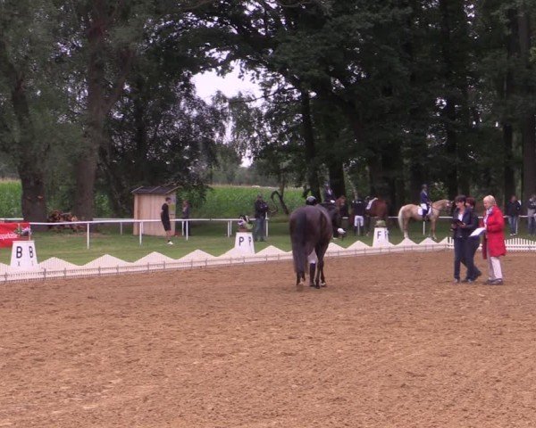 Reitturnier Zobbenitz 2024