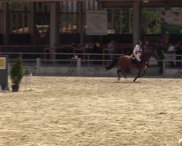 Reitturnier Ennigerloh-Neubeckum 2024