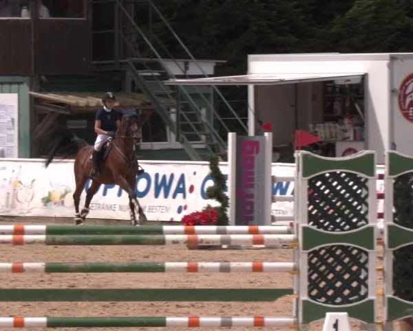 Reitturnier Ranshofen - Braunau am Inn 2024