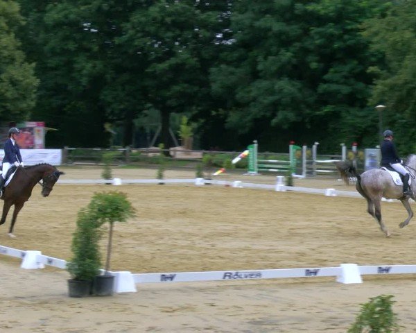 Reitturnier Stadtlohn 2024