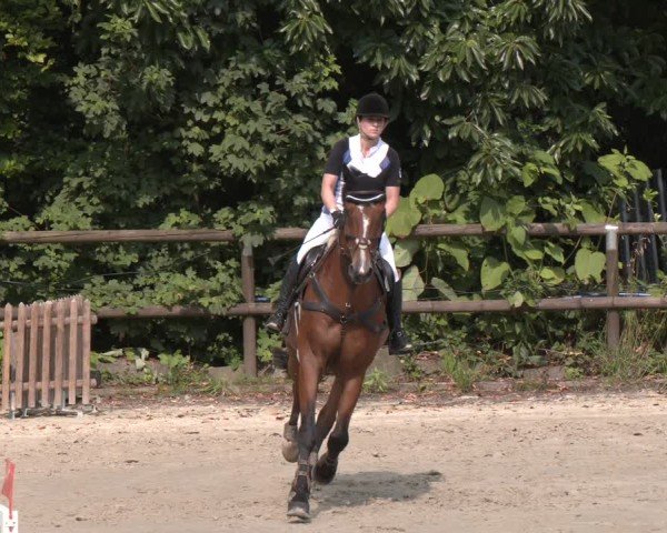 Reitturnier Marienheide-Kempershöhe 2024