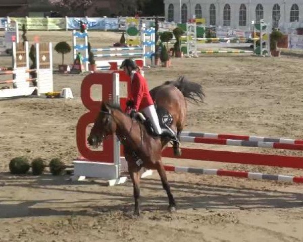 Reitturnier Werne-Lenklar 2013