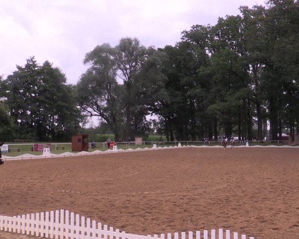 Reitturnier Zobbenitz 2024