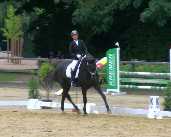 Reitturnier Stadtlohn 2024