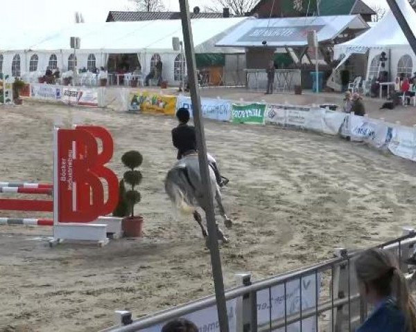 Lenklarer Reitertage auf der Reitsportanlage Gripshöver 2013