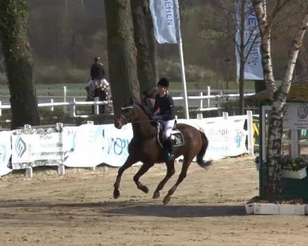 Lenklarer Reitertage auf der Reitsportanlage Gripshöver 2013