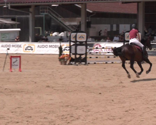Reitturnier Ranshofen - Braunau am Inn 2024