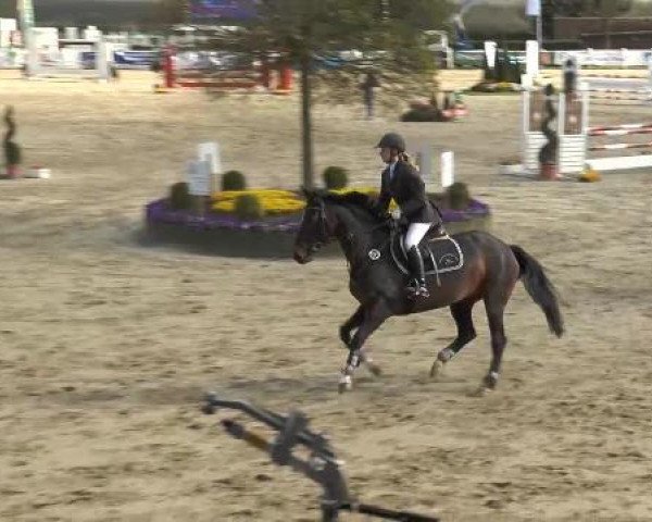 Lenklarer Reitertage auf der Reitsportanlage Gripshöver 2013