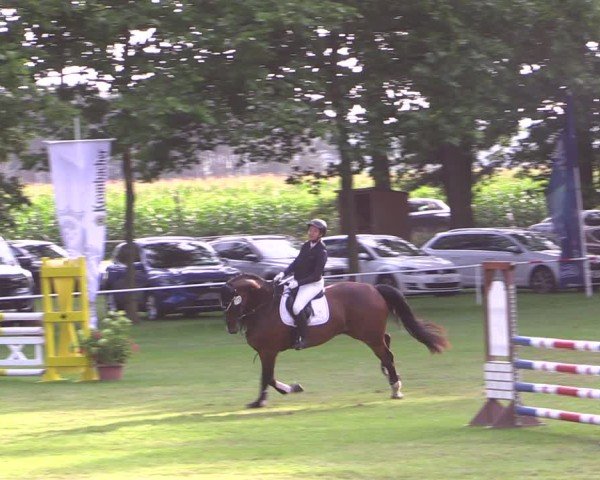 Reitturnier Zobbenitz 2024