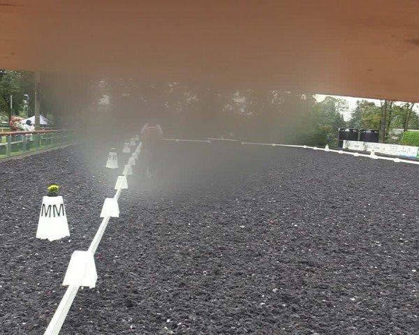 Reitturnier Röhrsdorf/ Chemnitz 2024