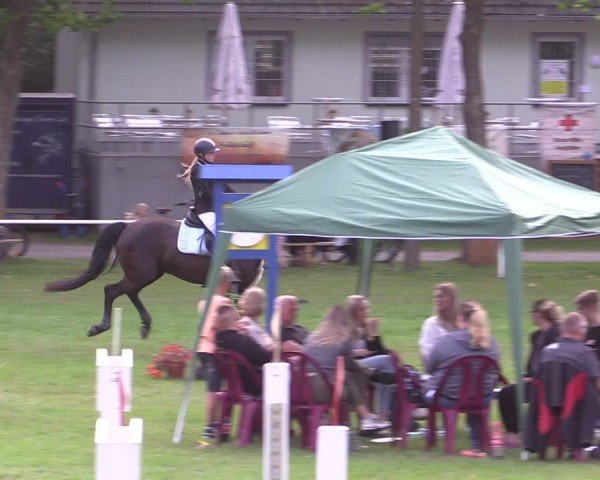 Reitturnier Zobbenitz 2024