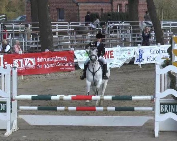 Lenklarer Reitertage auf der Reitsportanlage Gripshöver 2013
